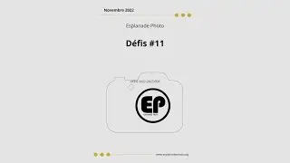DÉFIS PHOTO - NOVEMBRE 2022