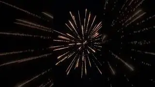 Coco 🥥 #pyro #firework #loud #mustwatch #crazy #foryou #shorts #fireworks #fyp