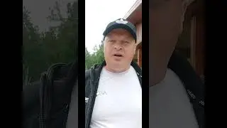 29 июня 2024 г.