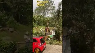 taman safari bogortaman safaritaman safari aman safari bogor 2023taman safari #short #tamansafari