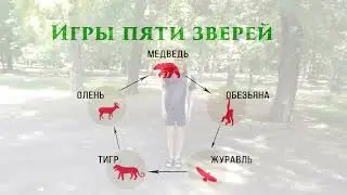 Оздоровительный цигун. Игры 5 зверей