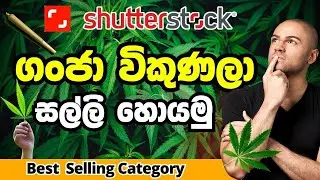 Best Selling Image Category Shutterstock - Cannabis | ගංජා