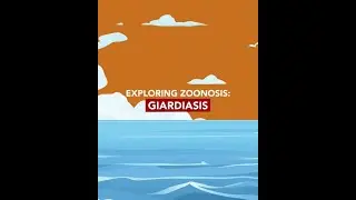 Exploring Zoonosis: Giardiasis | Merck Vet Manual