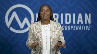 Meridian Office Solutions with Marty' Whitfield