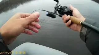 Щука на лесном озере.