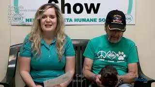 AdoptAPet 20190715