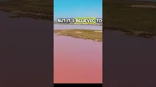 Discover the Mysteries of Lake Hillier: The Pink Wonder of Australia!