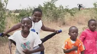 WILDLIFEDIRECT