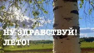 #149. С огородом покончено! К жаре готовы! [Жизнь на своей земле]