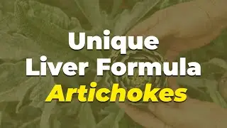 🌟 Unveiling artichokes: the ultimate liver regenerator! | Nation Health MD | Part 2