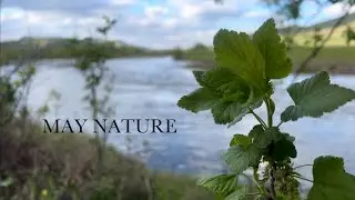 MAY NATURE | Cinematic
