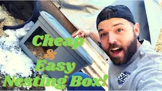 CHEAP & EASY nesting box!