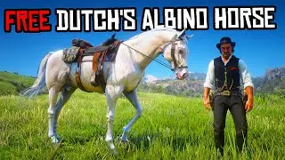 Proper Way To Get Dutch's Albino Arabian Horse - RDR 2