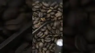 Wira Mirakel - THE COFFEE BLUES