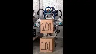🎉 Here’s to Thirty Years of Boston Dynamics