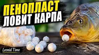 Ловля карпа и карася на пенопласт ароматизированный