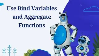 Lesson 9: Use Bind Variables and Aggregate Functions