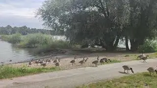 Пляж Роденкирхен июль 2024