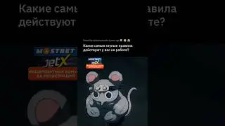 Истории про самые странные правила на работе 