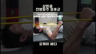 상완골 전방활주 증후군 