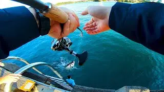 How to land BIG fish from a pier on light tackle | Landbased Fishing Australia