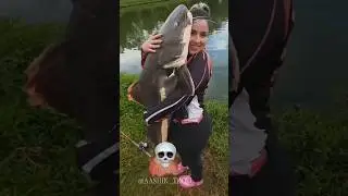 Cat Fish Can't be Scary 💀