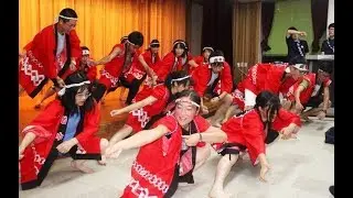 [JAPANESE ARTS] Dokumentasi Kecil - Soran Bushi By : UnisMuh - UKM Bahasa Jepang