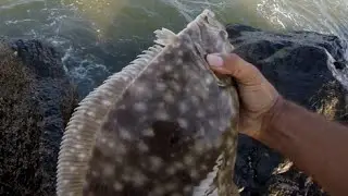 Keeper Fluke on the CLOUSER DECEIVER Fly Flounder Sea Fishing
