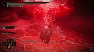 Melina boss battle - Mohgwyn sacred spear is my go to when reminding Melina who's boss!!