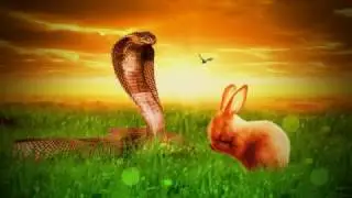 Funny Bunny Photo Manipulation - Quick Video [Adobe Photoshop CS6 CC17] TIme Lapse