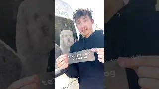 How To Install the Best Sticker in the World
