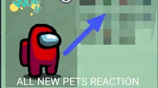 among us all new pets reaction in the death,reaction of new pets in among us in the death