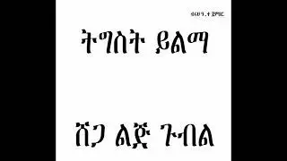 Tigist Yilma - Shega Lij Gubil