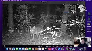 Fototrappola Ceyomur CY70 - Economica e di ottima qualità!