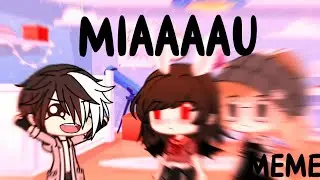 Miau [MeMe]