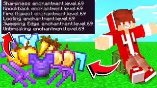 Minecraft, But Damage Gives Extremely OP Items