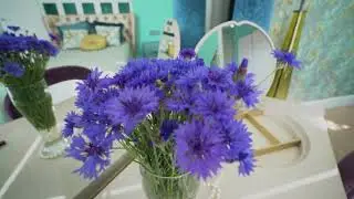Купить квартиру у метро Звездная