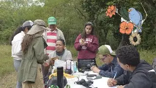 Aves y amigos en Veracruz ♡