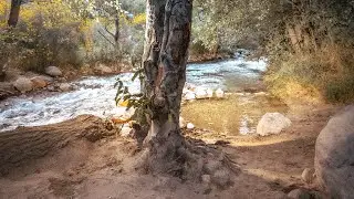 Sábados de Hiking, foto y Video, BTS bonus / Aventura y música #hiking #sony #travel #money