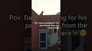 Raw&unedited clips.Subscribefor more🐕🥰.#viral#shorts #youtubeshorts#dog#gsd #doglover#trendingshorts