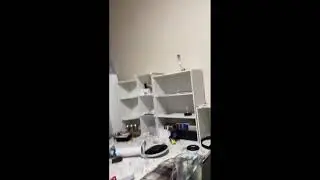 Japan earthquake 7.1 magnitude recorded  2021 | earthquake in japan 2021