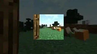 steve, you gotta help me i'm stuck