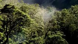 Instrumental Music - Love In Rewind
