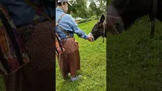 прогулка по Николо-Угрешскому монастырю