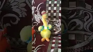 choti choti aasha ho #yuvan #reels #vlog #toys #shakenduck #gutar#cactus #cars