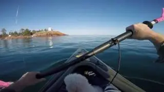 Go Explore