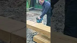Chainsaw MUST have for  FRAMING 