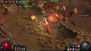 T11 Zana Ashen Wood