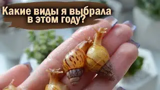 РАСПАКОВКА ПОСЫЛОК С УЛИТКАМИ