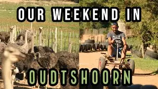 WHAT TO SEE AND DO IN OUDTSHOORN